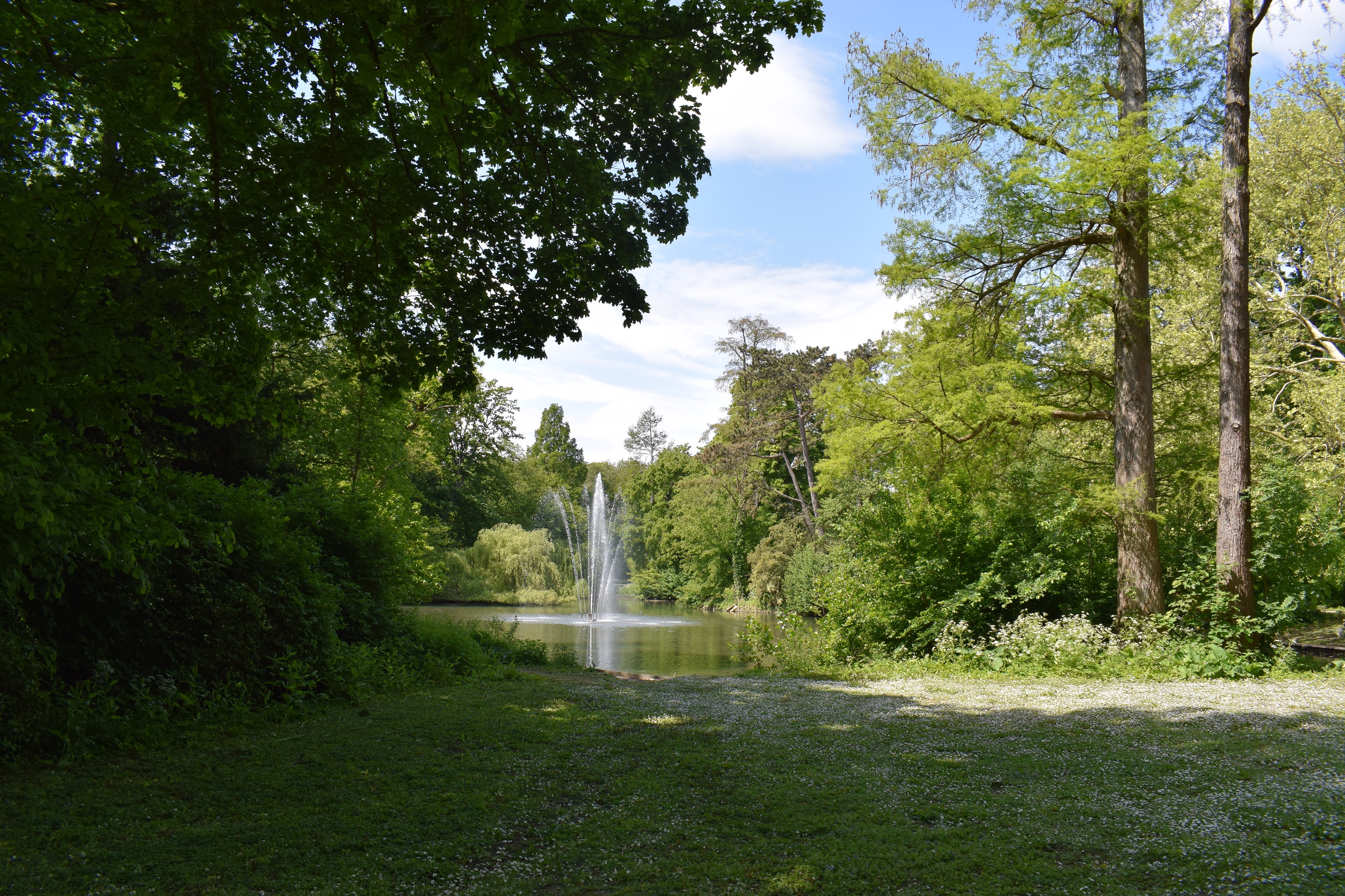 Utrecht's Largest Backyard: Noorderpark Ruigenhoek, UNESCO Nature & Fun